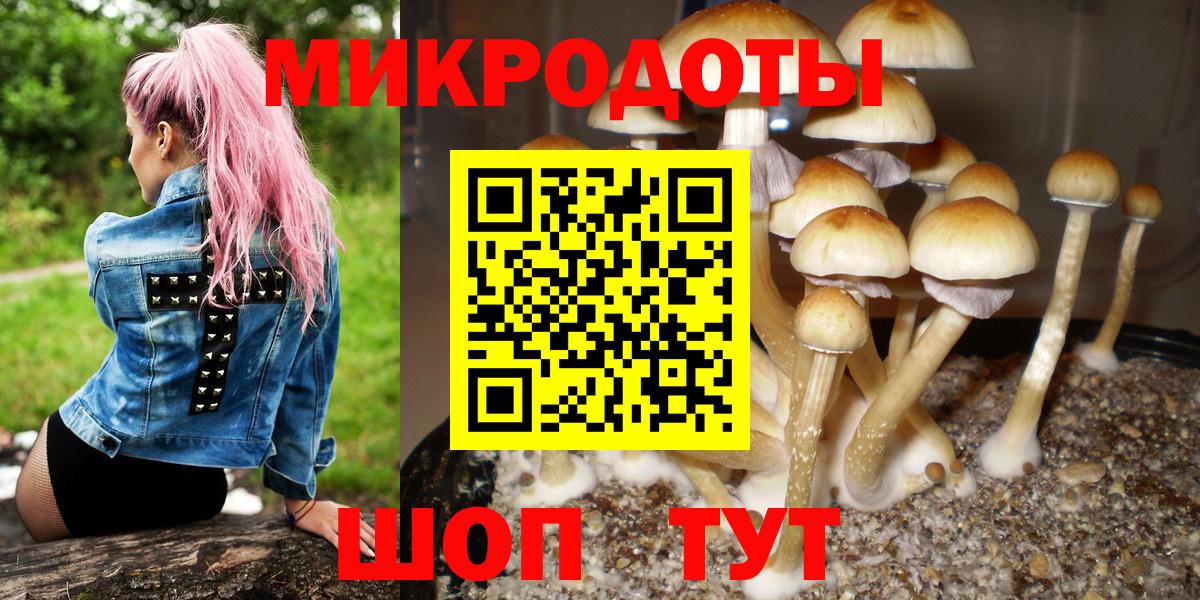 Галлюциногенные грибы MAGIC MUSHROOMS Кандалакша