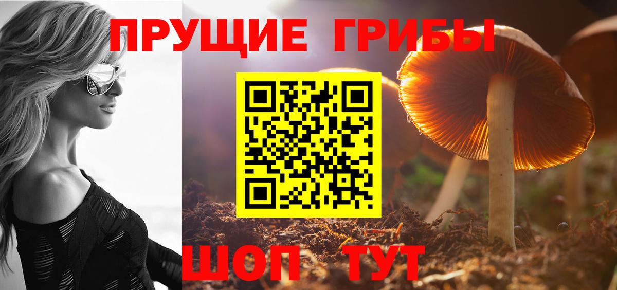Галлюциногенные грибы прущие грибы  Вход с VPN  Кандалакша 